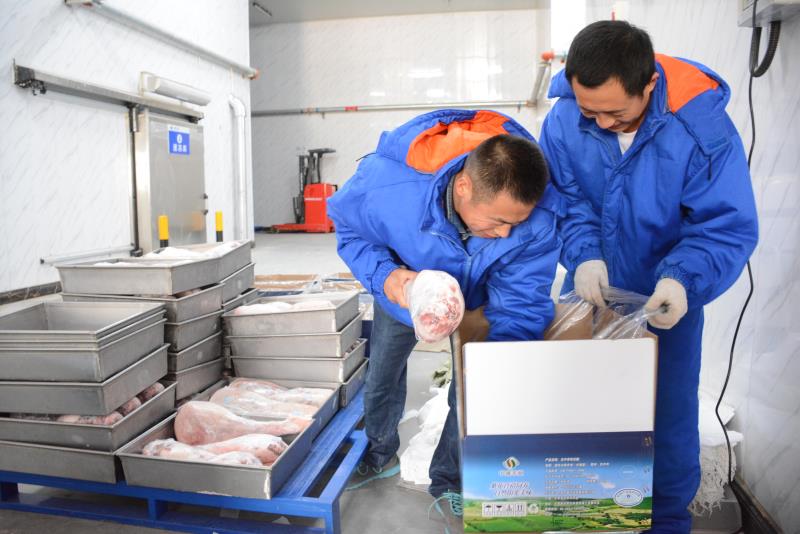 “拼团+直播”助农新电商打造“羊名片”环县县长“吃播”卖羊肉在线售出18203斤