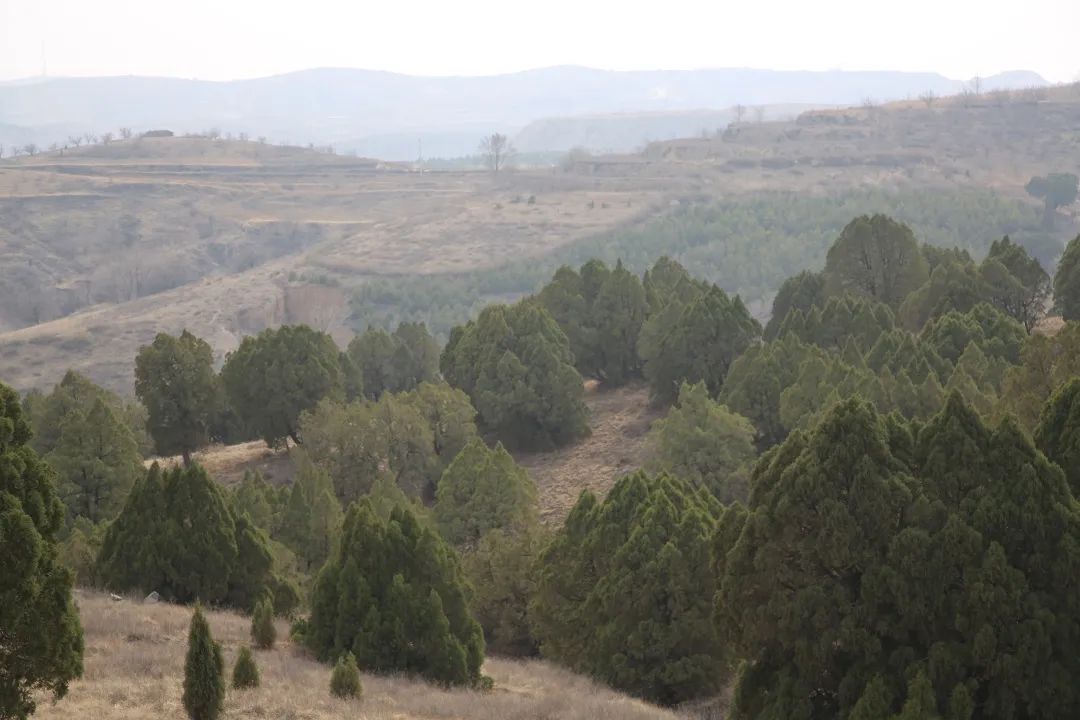 自治区公安厅个人二等功,公安记功嘉奖名单