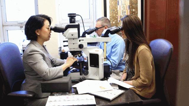 探秘病理科,病理科活检为什么慢