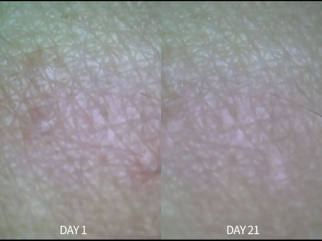 21天全测评,21天真实测评