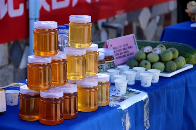 双岛卧龙村：古村蝶变，泉甜、果香，甜蜜产业滋味长