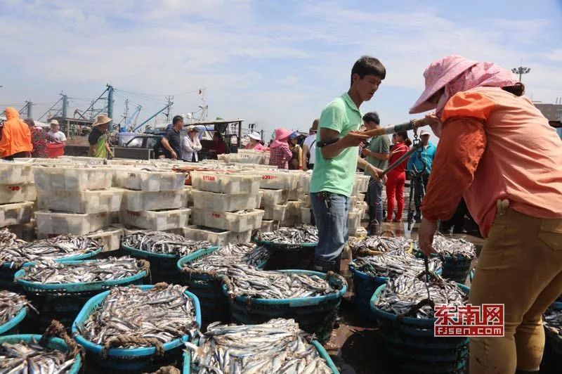 福建多地发布最新通告,福建发布首批15条政策措施