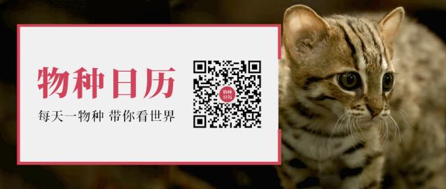 年轻人如何面对不确定的未来,在不确定的时代怎么生活