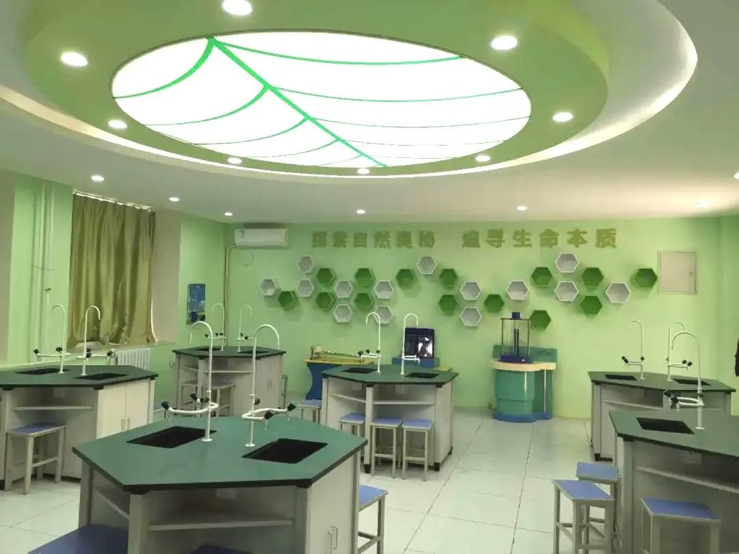 西安市星光实验学校,西安市碑林区星光实验中学