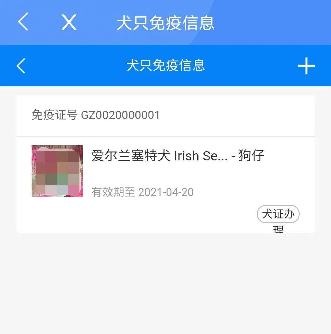 养犬证怎么在线办,养犬证在网上怎么办理