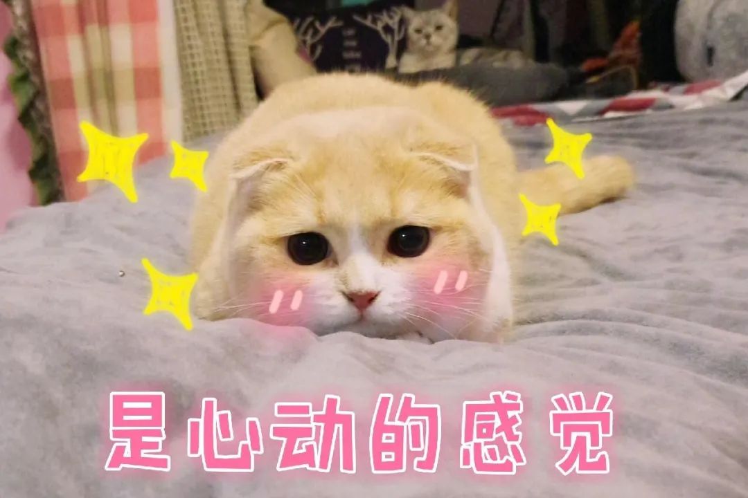 五一天津飞哪里机票最便宜,天津机票白菜价