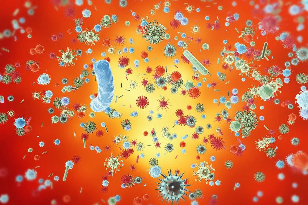 挤了颗痘痘却进了icu,挤了痘痘流了透明的水