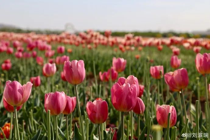 天津小众打卡地,天津五一人少的好玩景点