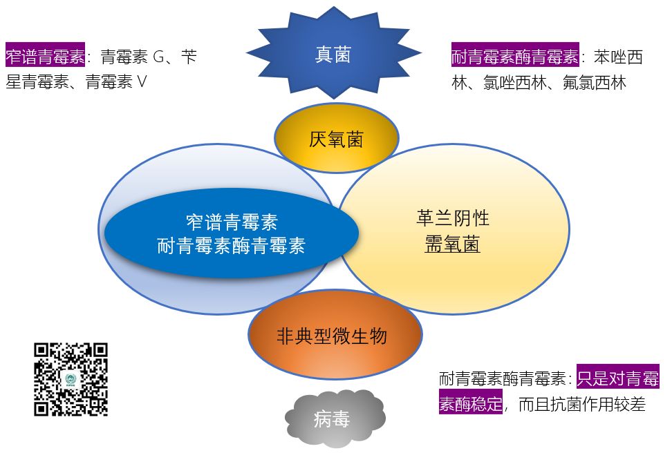 图说抗菌药物的抗菌谱，再也不会记不住了