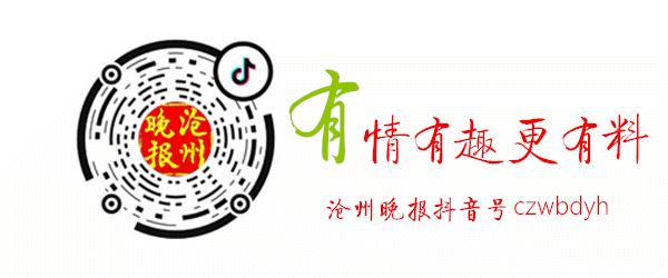 保定市直事业单位招聘2024,2021保定市事业单位招聘录用公示
