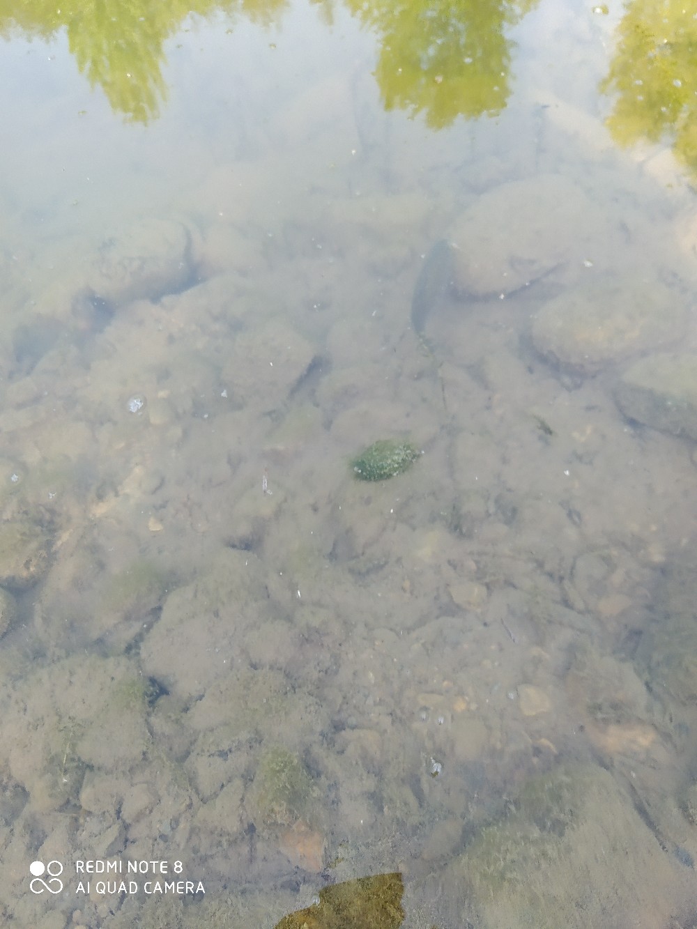 海竿串钩正确钓法视频,海竿串钩野钓最佳方法