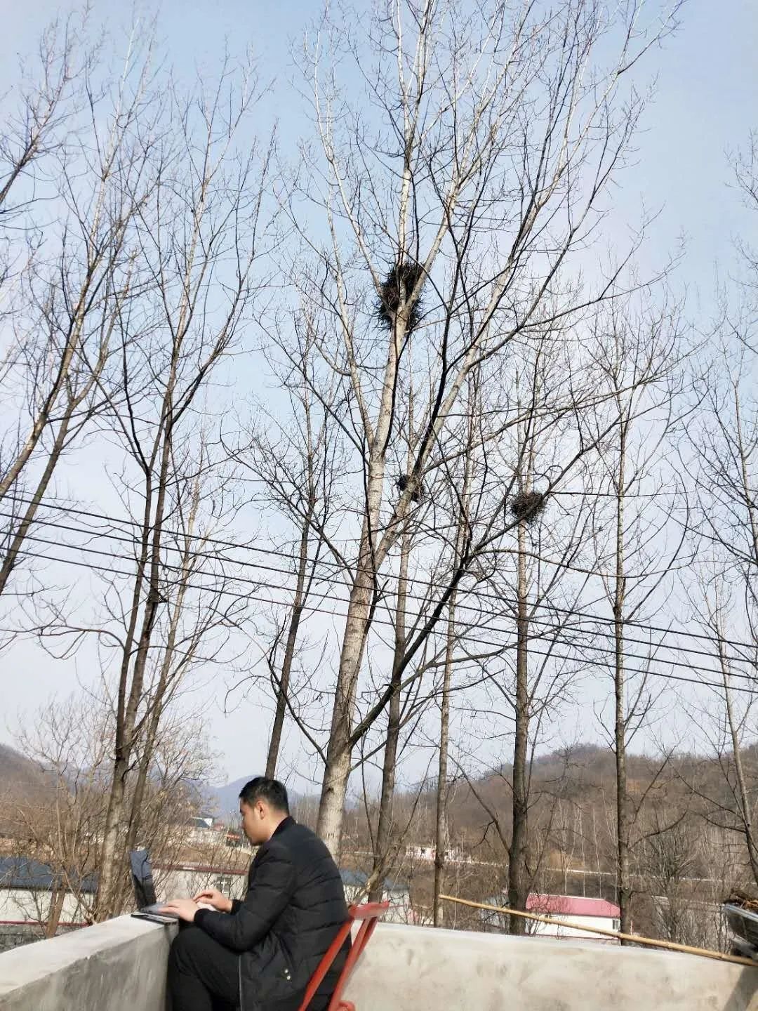 青春微光议论文,青春微光作文