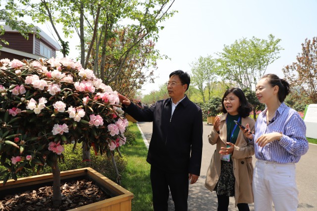 日照云游山海天,日照直播山海天
