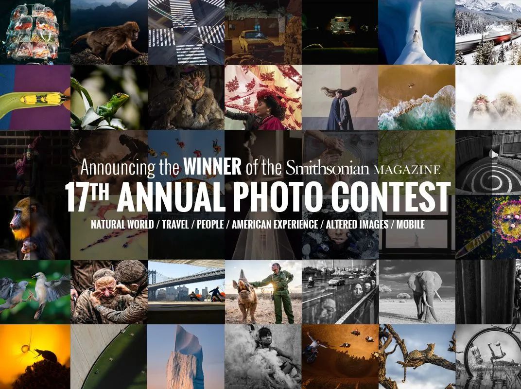 万中选一！他的照片以令人著迷的细节取胜