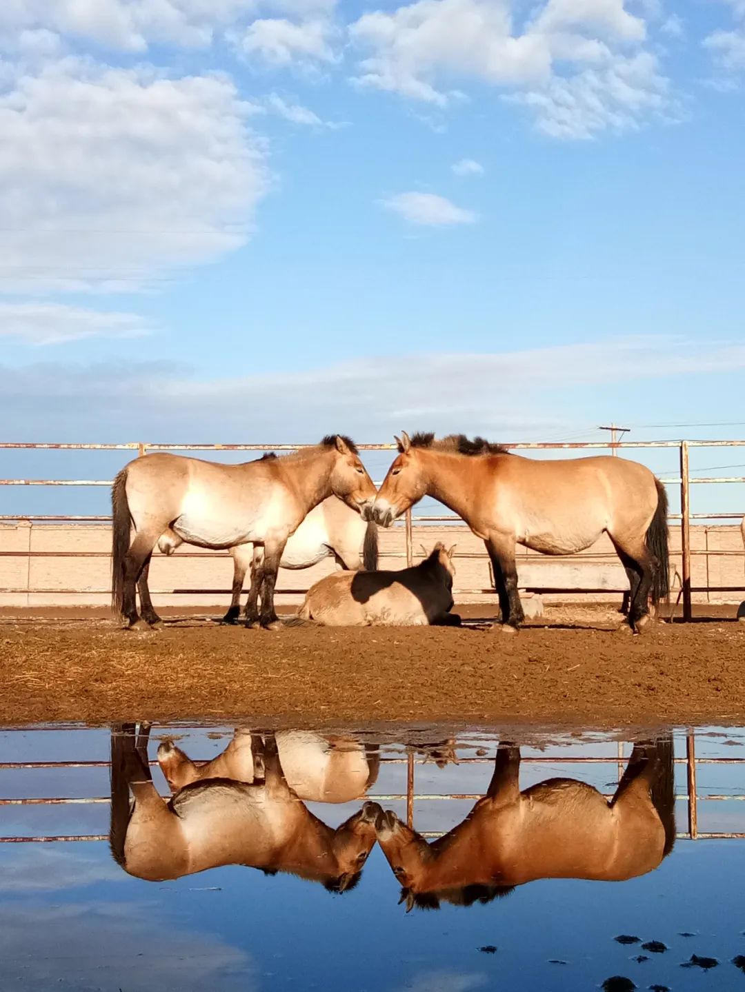 绾垫í椹伴獘绛栭┈鎵灜瑙嗛,绾垫í椹伴獘鍙ュ瓙
