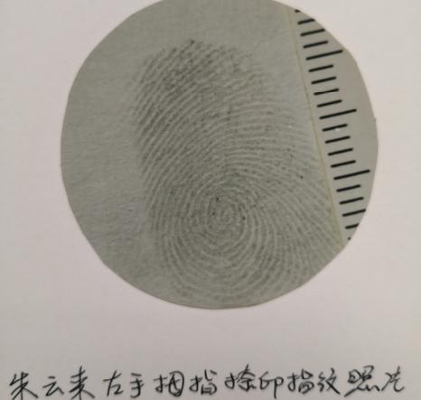 罄竹难书犯罪,罄竹难书的罪行