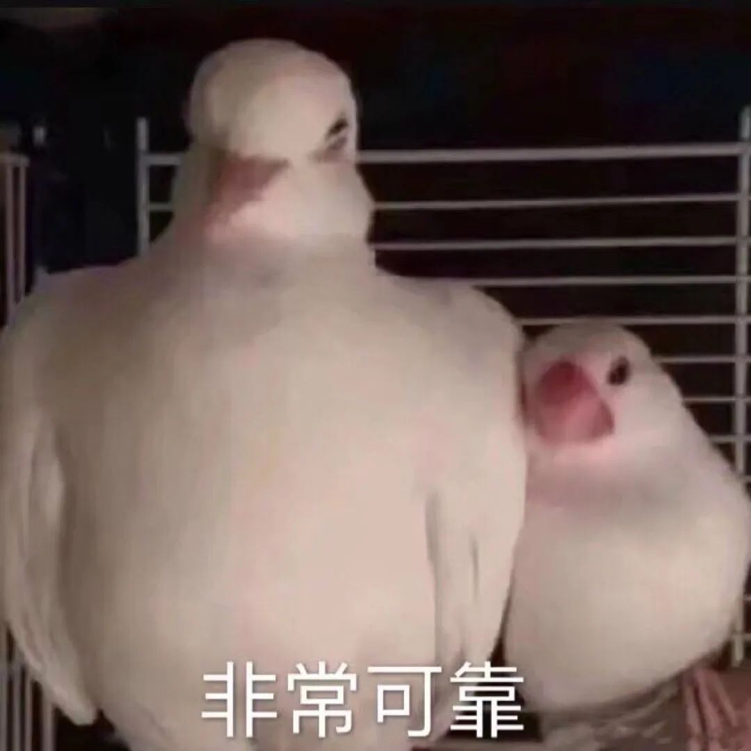 猕猴桃脱毛产品推荐,屈臣氏永久不再生毛的脱毛膏