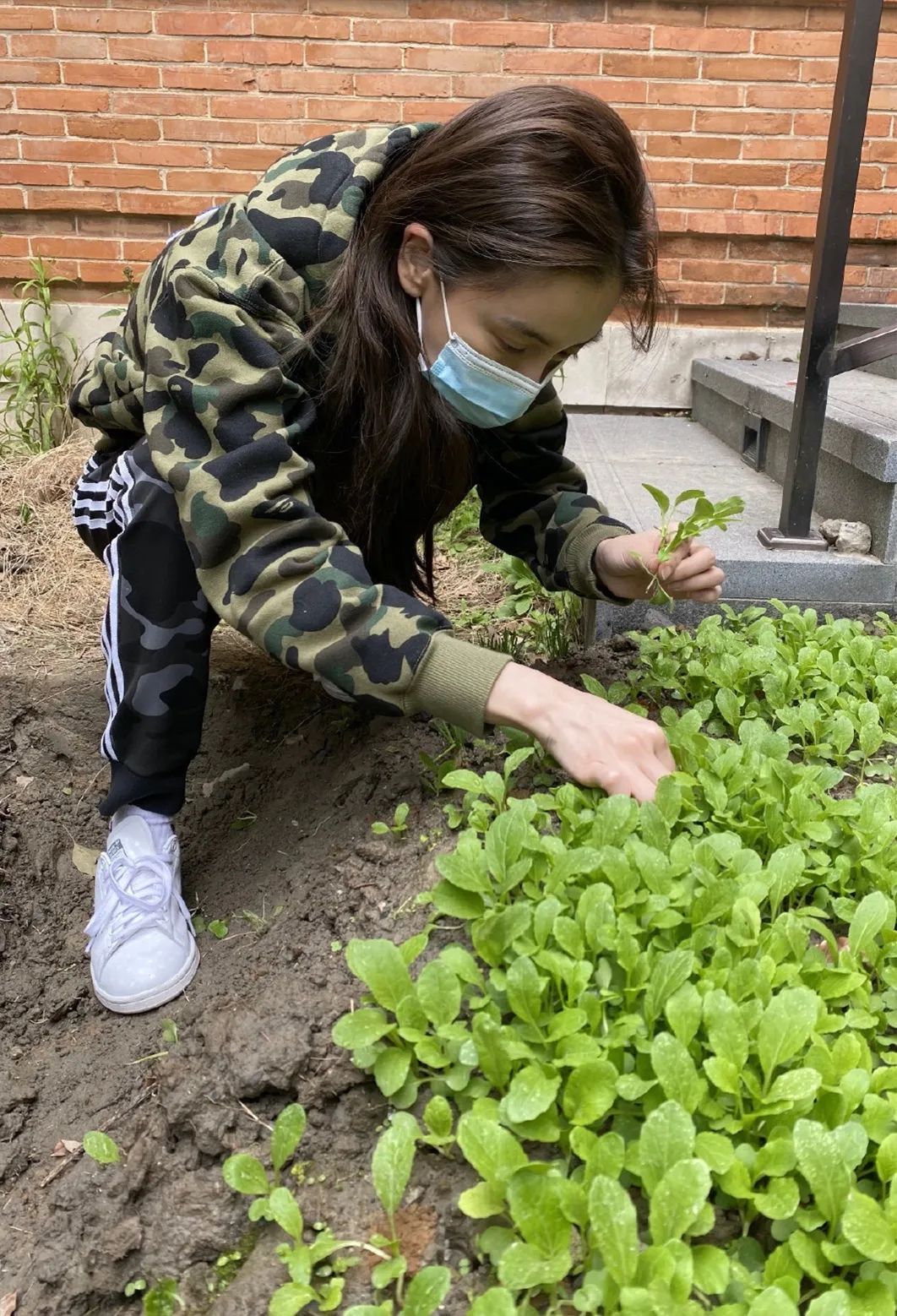 干掉千年沙漠,千年沙漠种树有多厉害