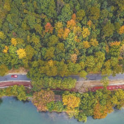 河北雄安新区端村镇千年秀林,雄安新区植树基地