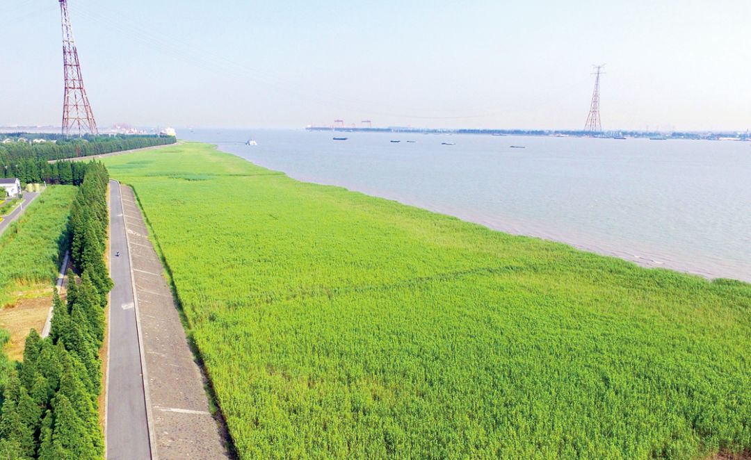 未来五年江阴这里真的会大变样吗,新动作新气象