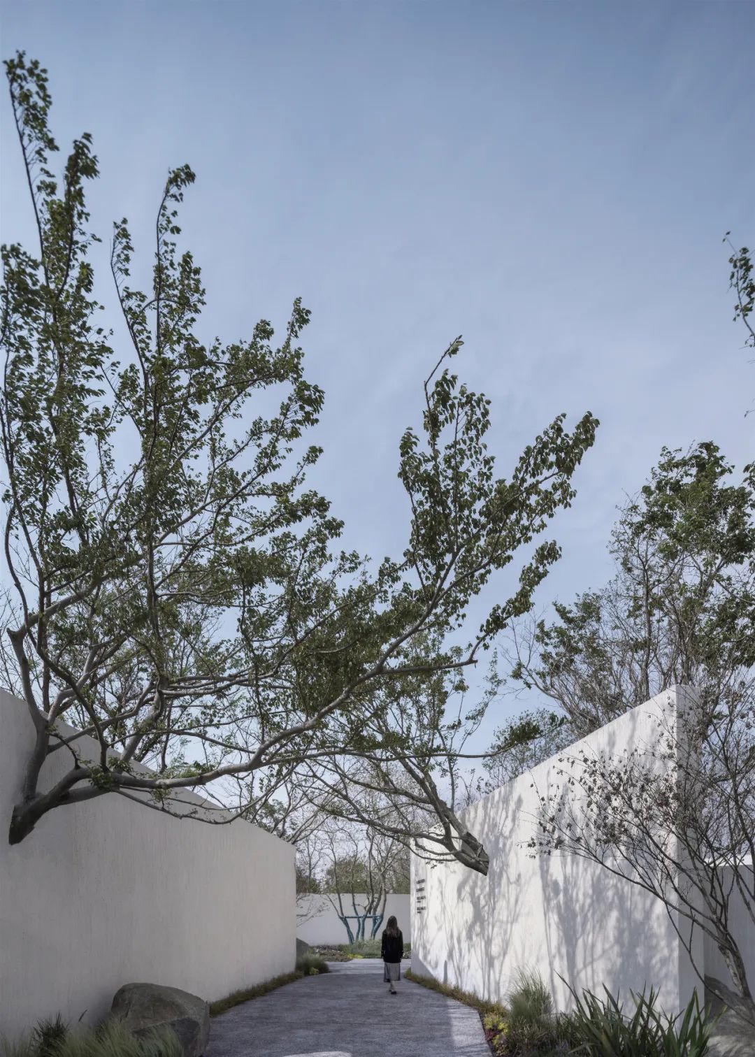 龙湖抚仙湖星空小镇景观设计,抚仙湖星空小镇山顶度假美学馆