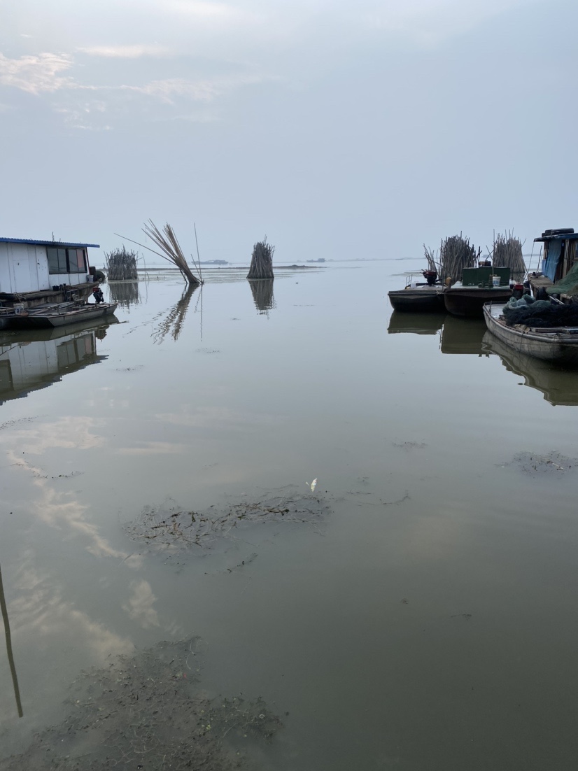 骆马湖秋季鲫鱼,骆马湖最大鲫鱼
