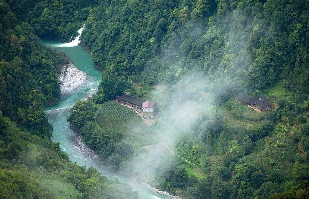 酿造百花蜜,酿造农家百花蜂蜜
