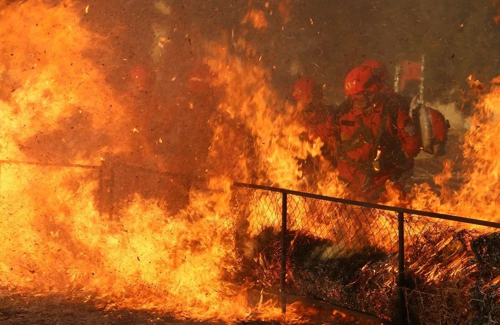 森林火灾的发生与防控知识,森林防火防控知识