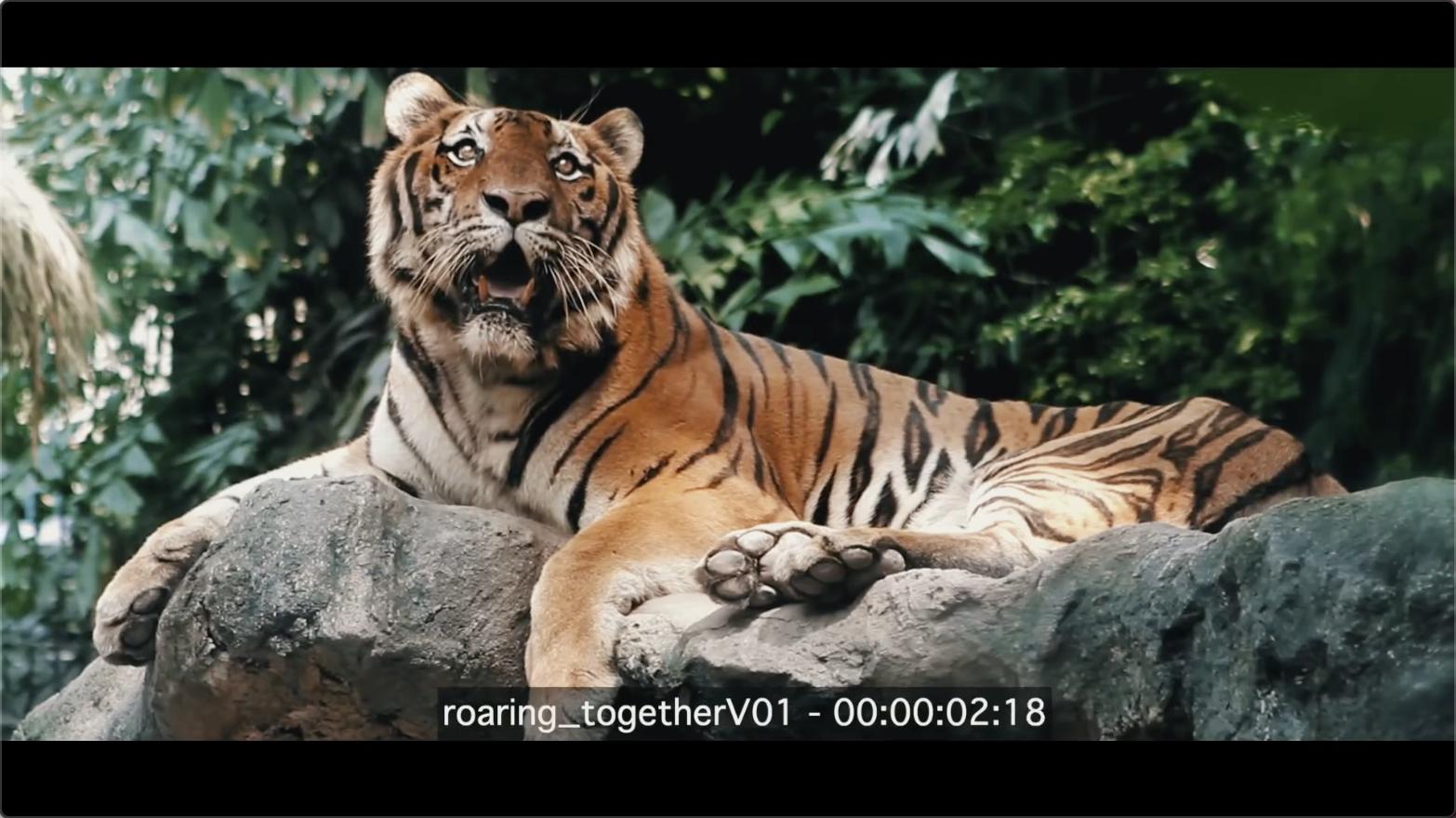 来自小贱贱的绝佳省钱广告,PPT工厂从此站起来了