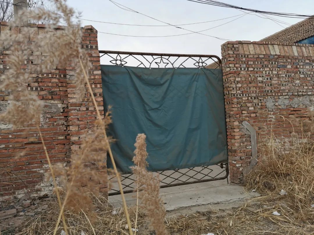 地下器官移植交易调查：买肾人花55万，卖肾人只得4.5万