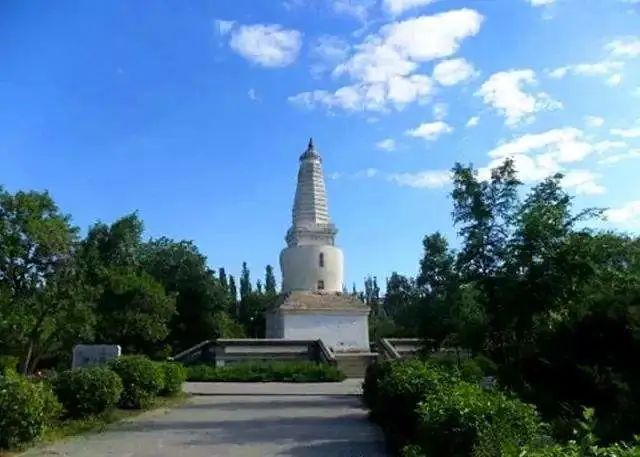 明日！嘎查达、村长、书记集体直播带货，速来购买