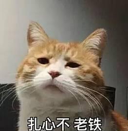 拖后腿平均工资,拖后腿工资