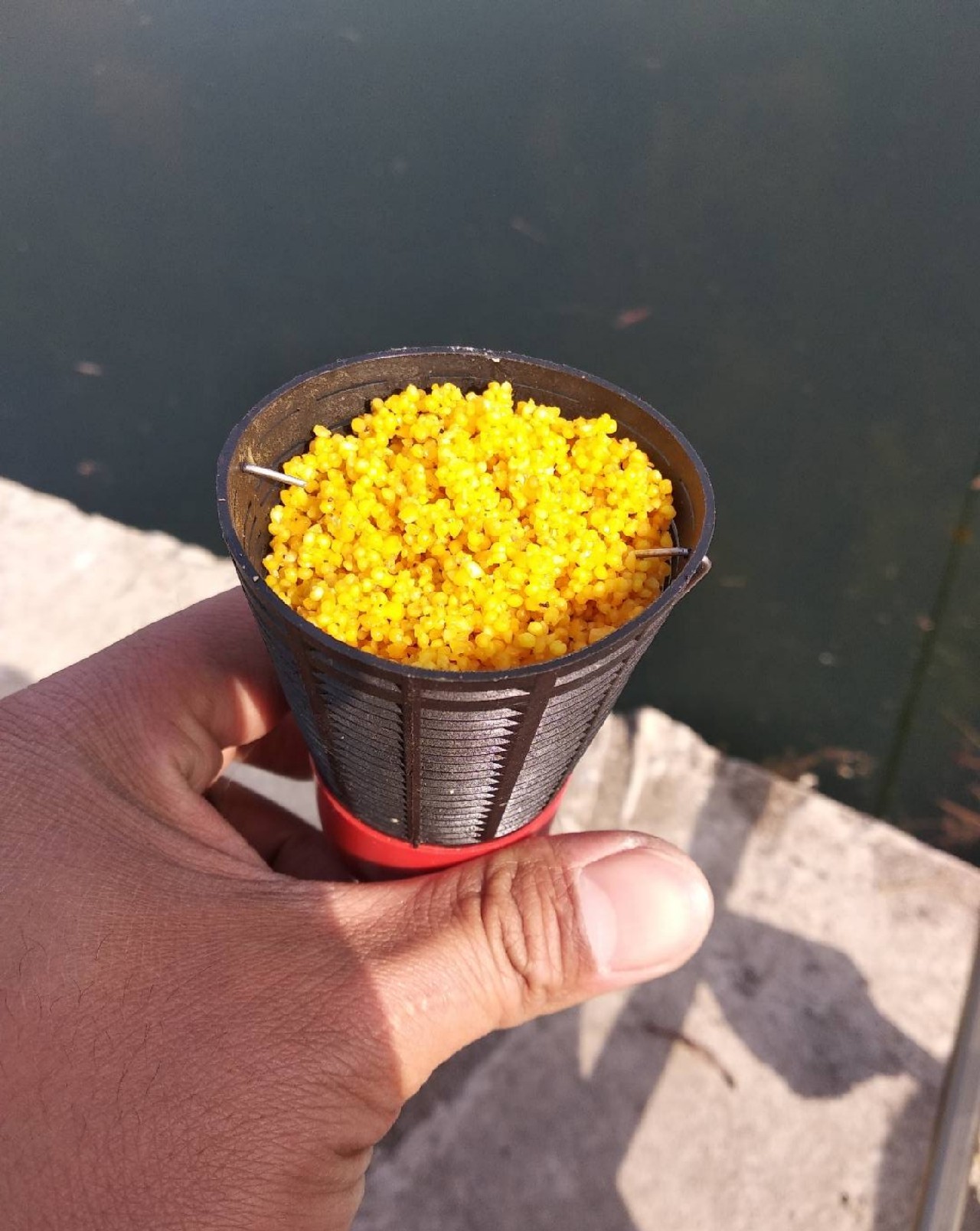 打窝怎么打才能聚鱼,哪种打窝方法最诱鱼