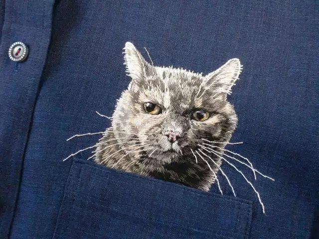 她把喵星人装口袋里，一只300美元