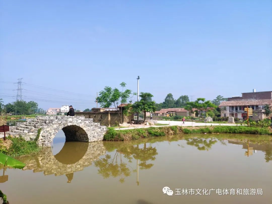 分享|“云游”林间小屋、石砌村道、稻田果树！乡村康养的好去处