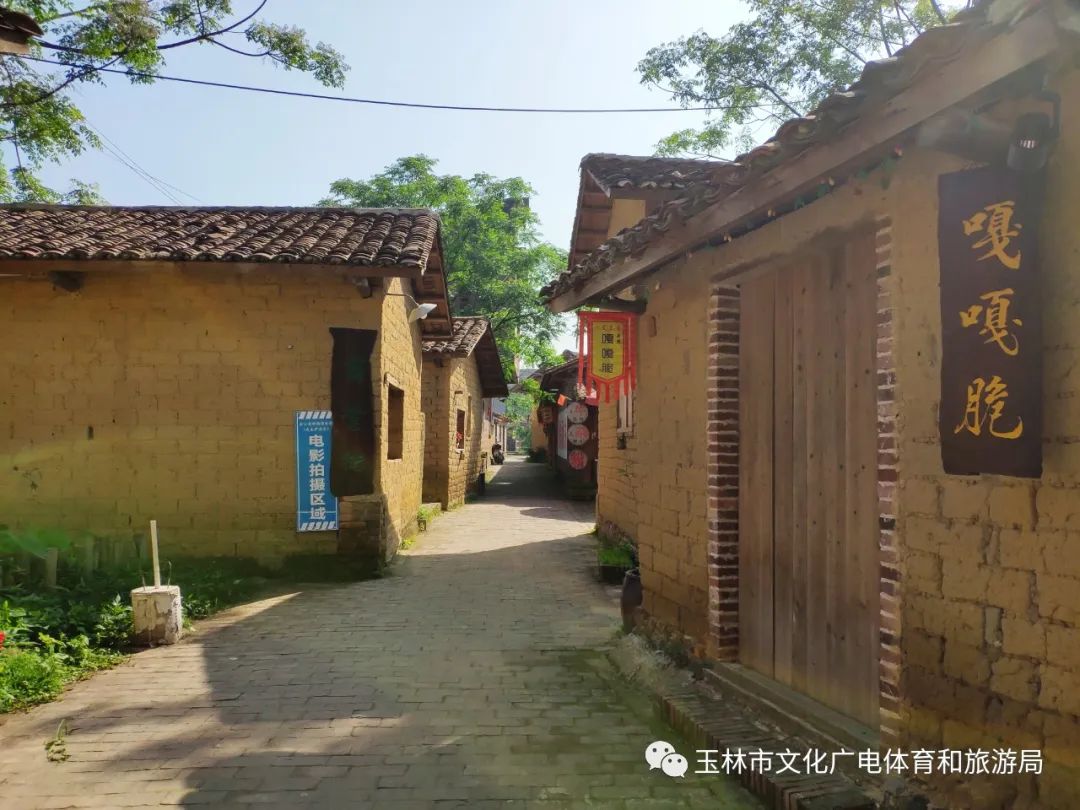 分享|“云游”林间小屋、石砌村道、稻田果树！乡村康养的好去处