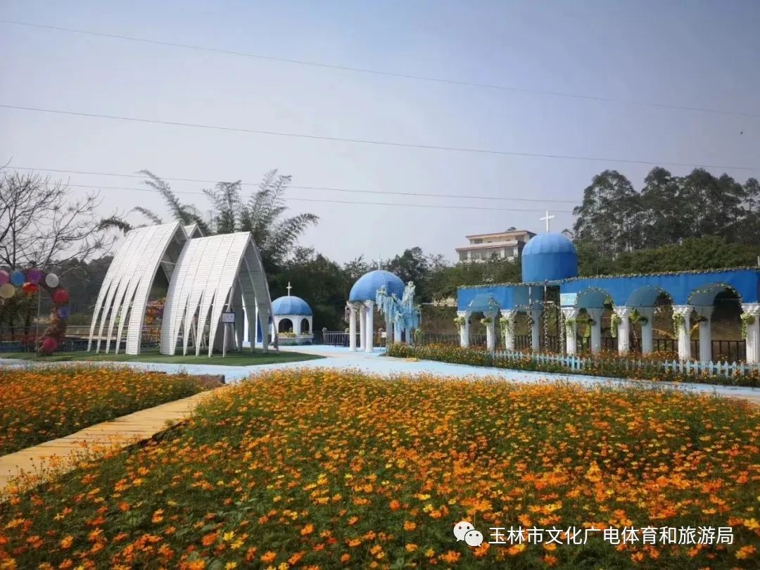 分享|“云游”林间小屋、石砌村道、稻田果树！乡村康养的好去处