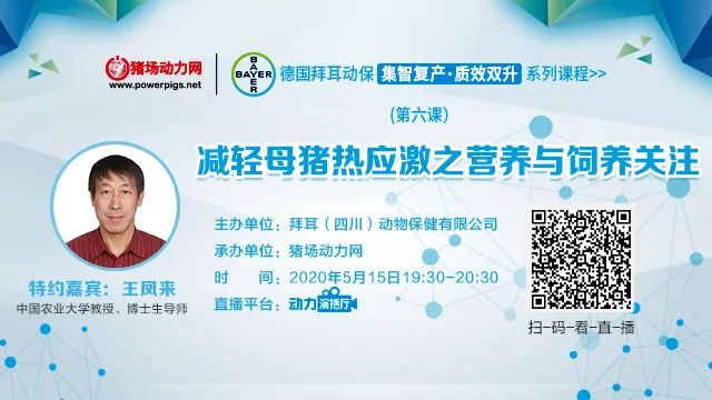 母猪夏季常见问题大全,母猪秋季高热该怎样处理