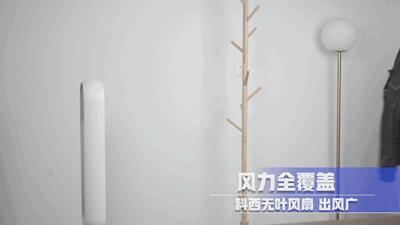 德国荣芝和戴森的无叶风扇哪个好,戴森无叶风扇为什么贵那么多