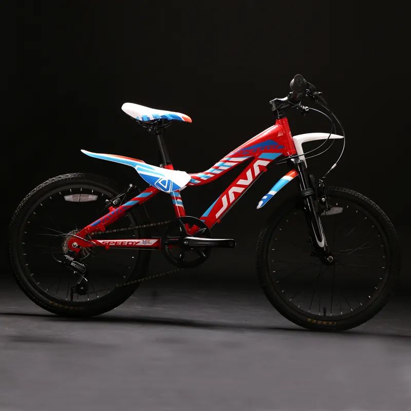 儿童自行车应该怎么选,儿童骑公路车什么品牌最好