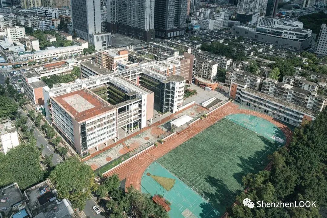 LOOK|这，就是园岭