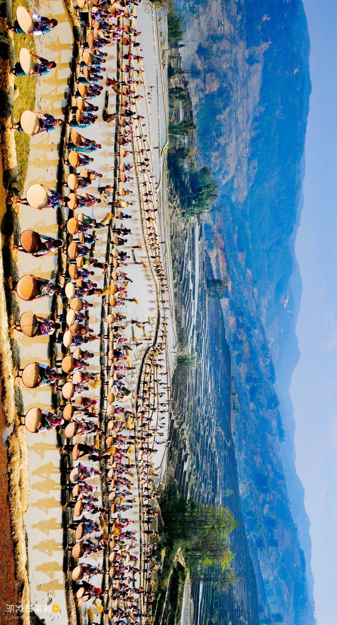 云南红河景色迷人,云南红河州哪些地方自然风光美