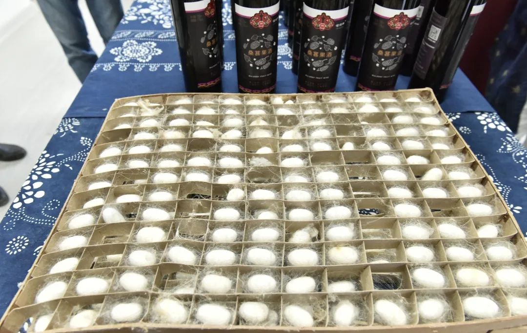 蚕宝宝怎么才能吐出金丝,蚕宝宝吐出透明色液体