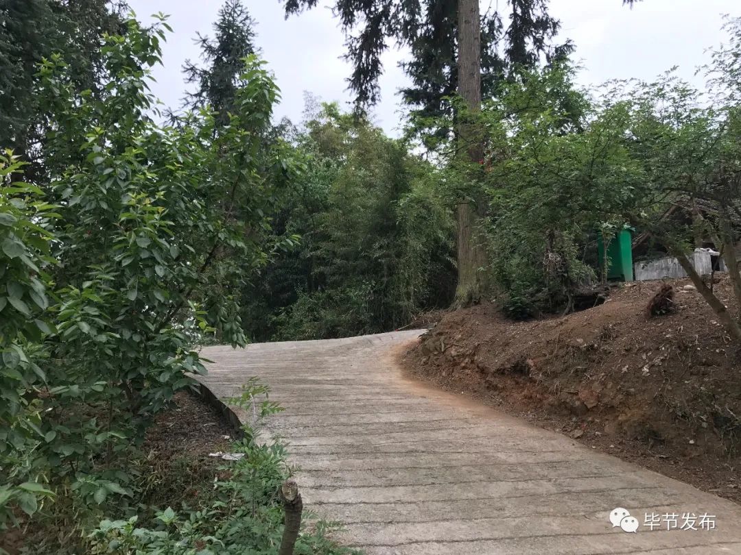 脱贫路上继续前行,脱贫攻坚乡村行