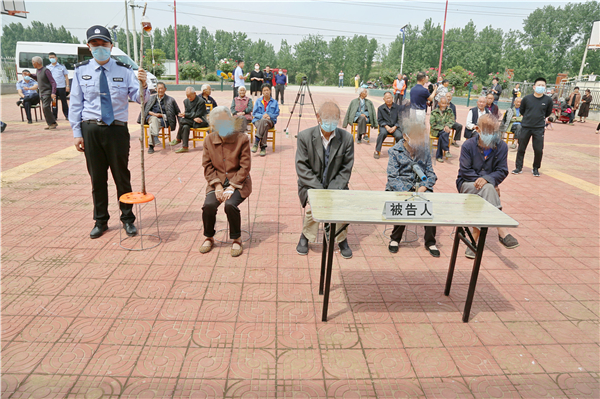 种植*粟罂**苗当菜吃镇平县四名老人被判刑