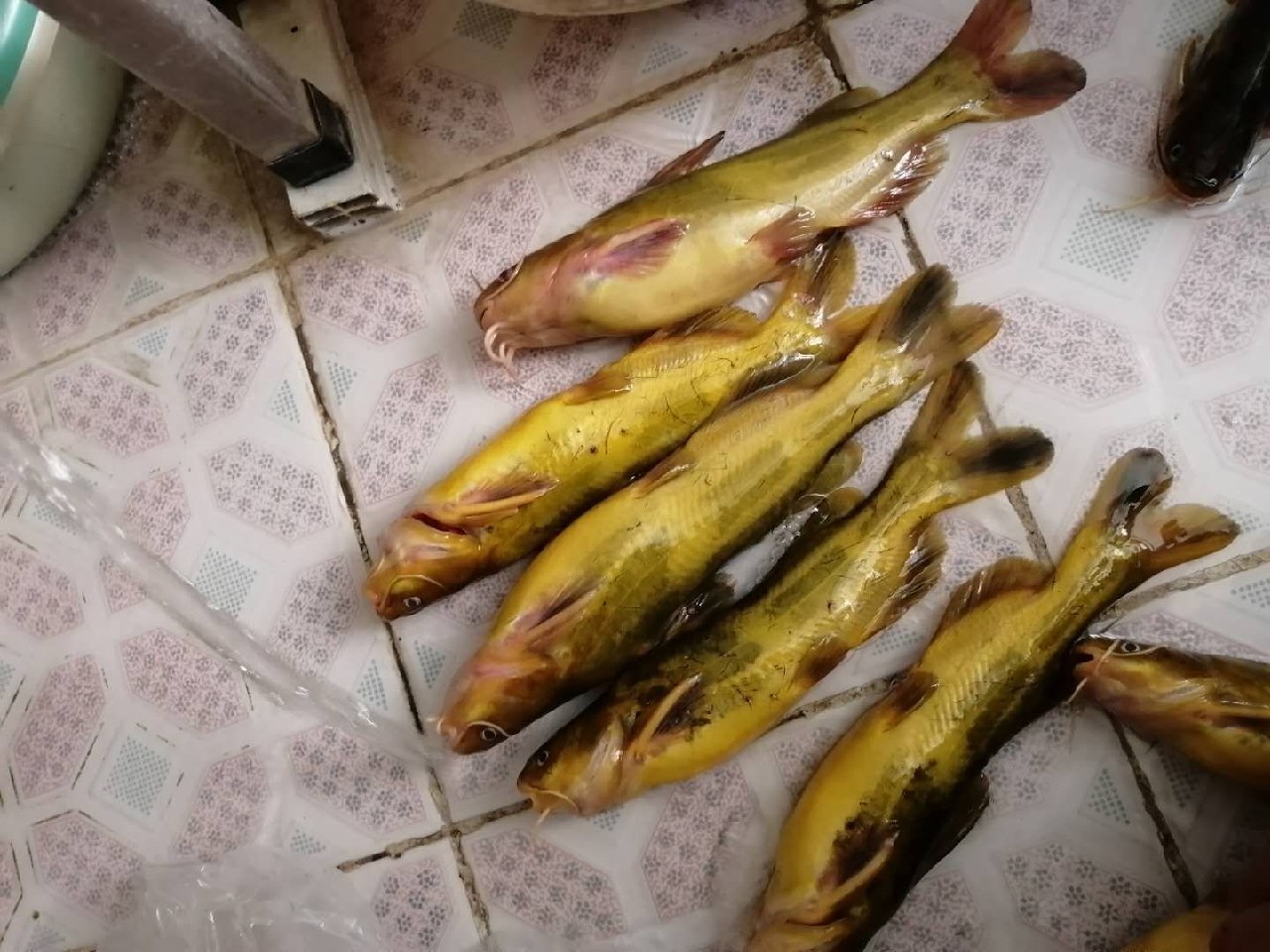 普通自制串钩最简单方法,如何自制马口串钩