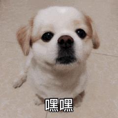 什么是苏城码,苏城码怎么弄