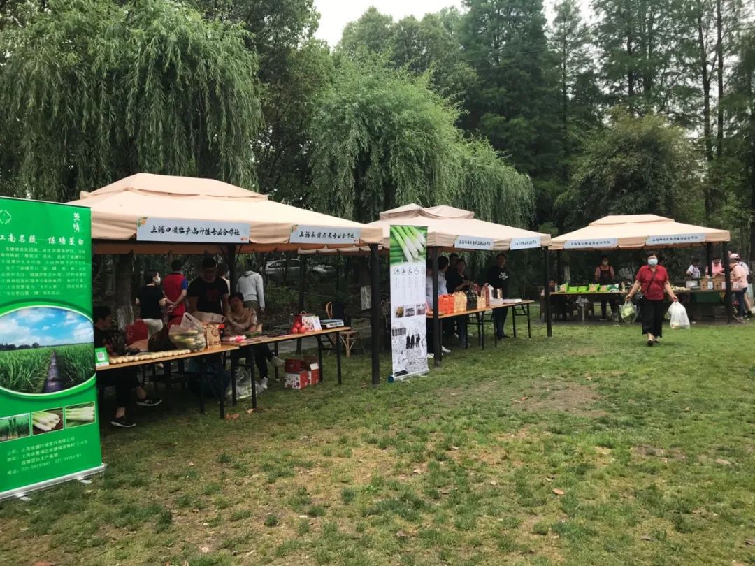 乡村振兴创新创业电商助农视频,乡村振兴互联网创新创业