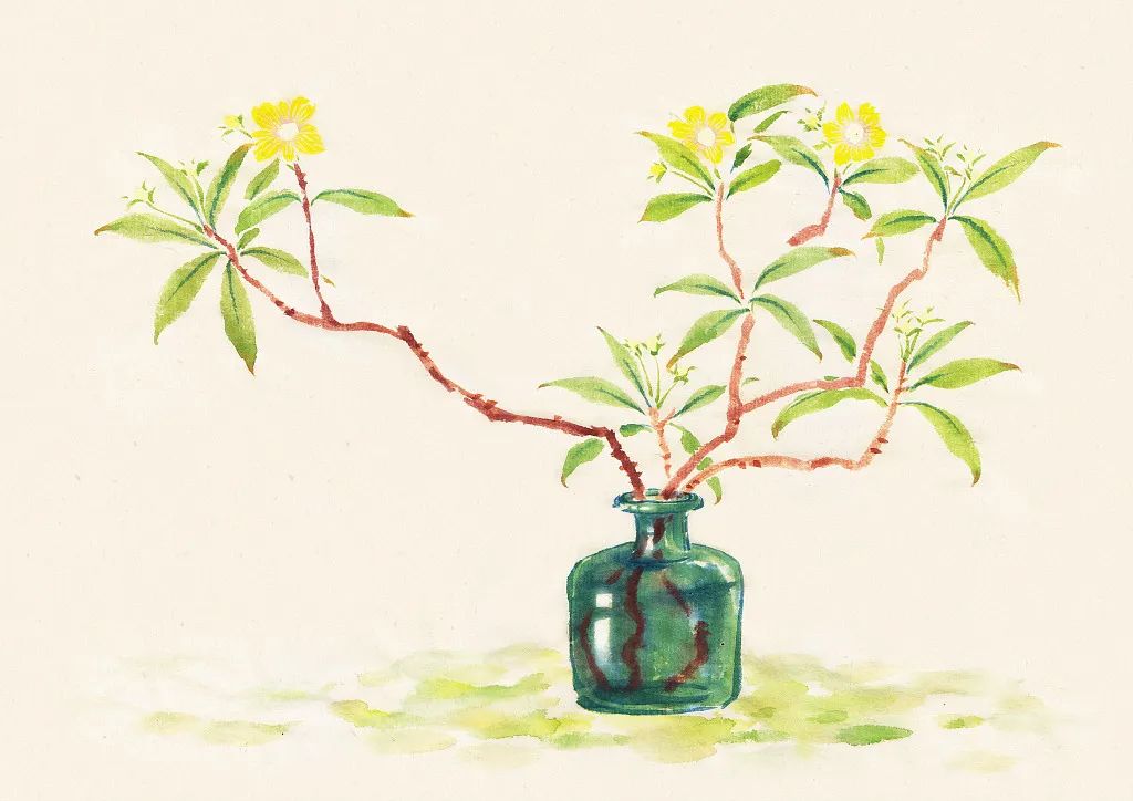 有一种心境叫随遇而安,晨读有感情的朗读