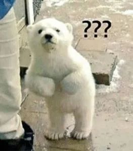 优衣库里的雷佳音是真的吗,雷佳音与优衣库解约